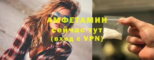 гашик Болотное