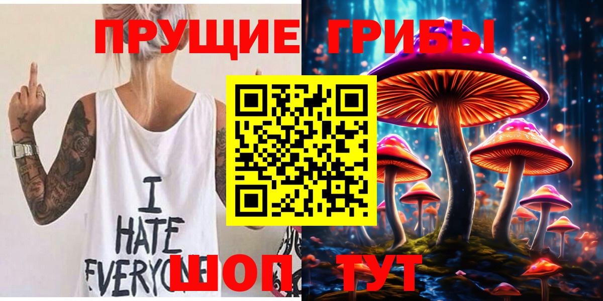 Псилоцибиновые грибы Psilocybe Владимир