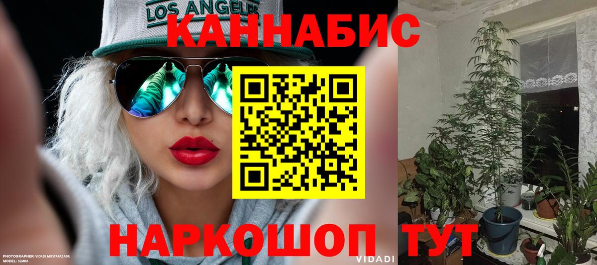 Каннабис MAZAR Владимир